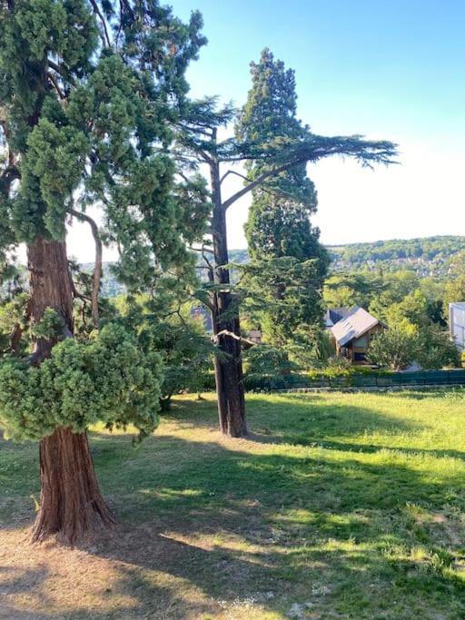 Studio Tres Agreable A Chessy Kültér fotó